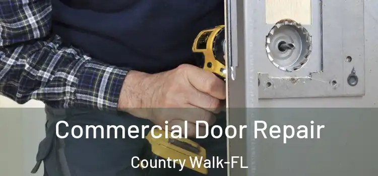 Commercial Door Repair Country Walk-FL