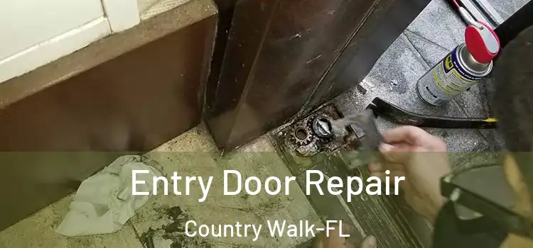 Entry Door Repair Country Walk-FL
