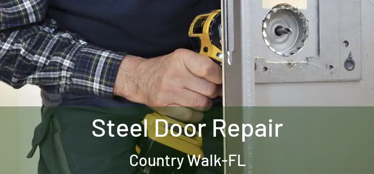 Steel Door Repair Country Walk-FL