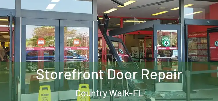 Storefront Door Repair Country Walk-FL